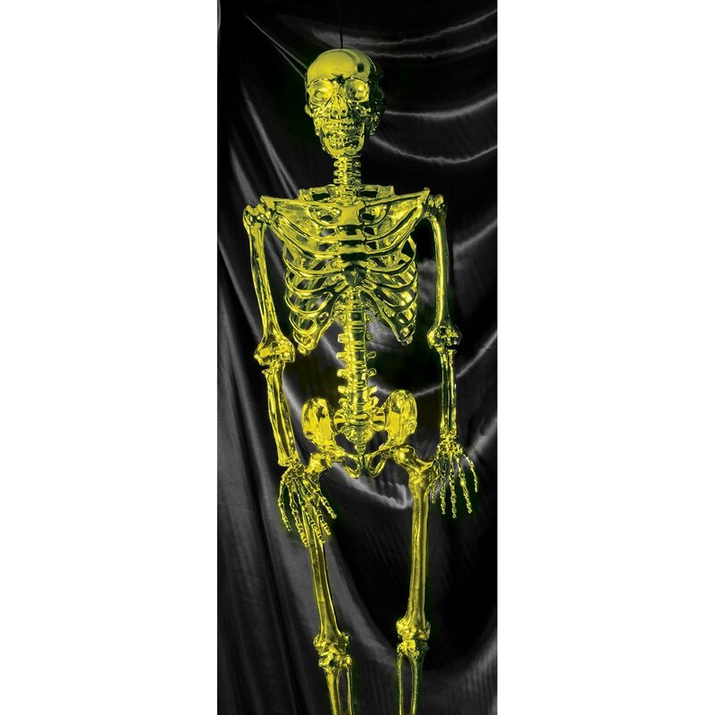 posable skeleton model